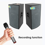 Zebronics Rockstar Pro  Zeb-Monster Pro 2X15L3 300W RMS DJ Speaker | dual UHF wireless mics for karaoke