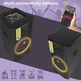 Zebronics DJ Speaker System with Wireless Mic and Deep Bass Output