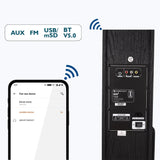 Zebronics ZEB-BT702RUCF Hammer 160W Tower Speaker | 2.0 Channel | Bluetooth | Karaoke | Recording | Remote & Mic Included