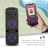 Zebronics ZEB-451 dual 20.32 cm full-range speakers