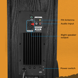 Zebronics Zeb-BTM9800RUCF 200W RMS bluetooth tower speaker | Karaoke compatible | BT | USB | AUX | TV HDMI ARC | optical in | Coaxial IN