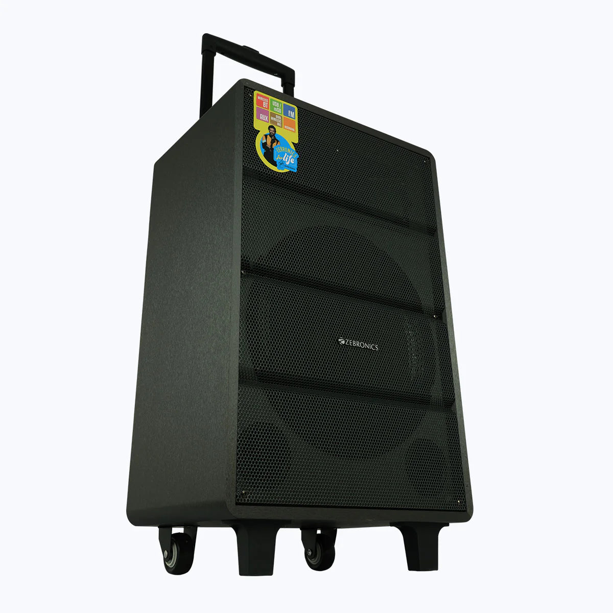 Zebronics Banjo Zeb-Monster Pro 2X12L2 12inch 80W RMS trolley