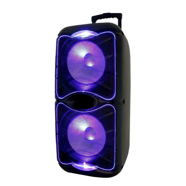 Harphonix Thor 12inch dual woofer professional portable trolley Harphonix Thor 12inch dual woofer professional portable trolley