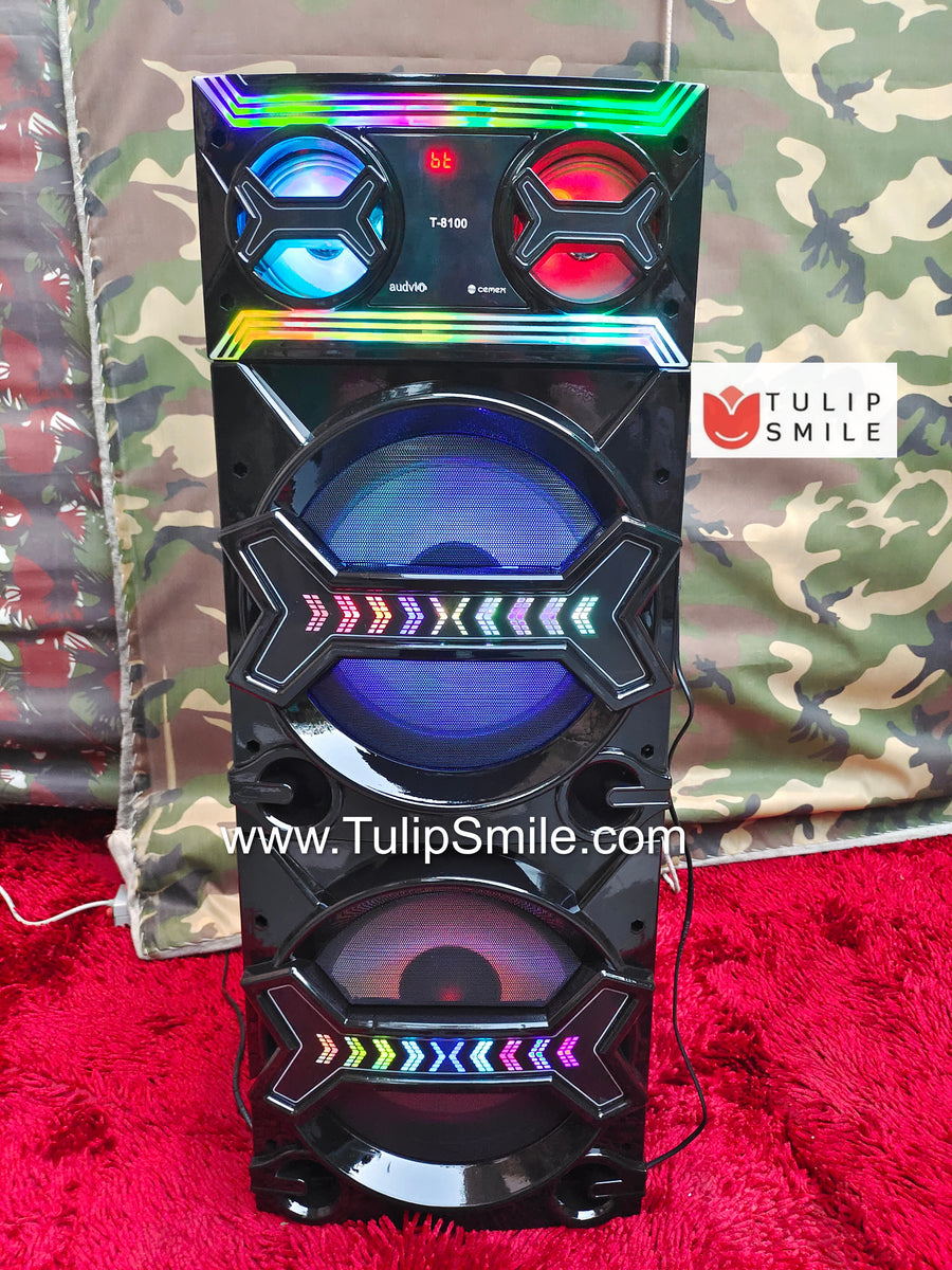 Cemex MIC T8100 DJ tower speaker BT USB FM AUX Karaoke compa