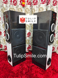 Cemex BT 10000 tower speaker | BT | FM | USB | AUX | multimedia speaker