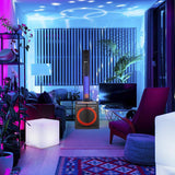 Zoook Party Rocker 100 Watts Bluetooth Party Speaker with Professional Class D Amplifier- 1 Wired & 1 Wireless Mic (Black)