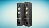 F&D T88X 300 W Bluetooth Tower Speaker - Tulip Smile