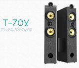 F&D T70X tower speaker 160w bluetooth tower speaker - Tulip Smile