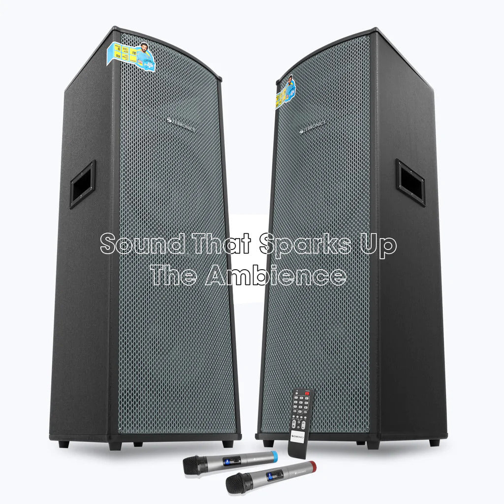 Zebronics Rockstar ZEB Monster Pro 2X12L3 300W RMS DJ Speaker